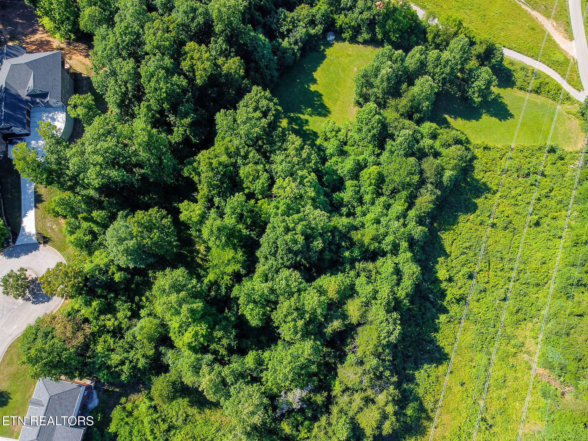 Elizabeth Downs Lane Knoxville TN 37931