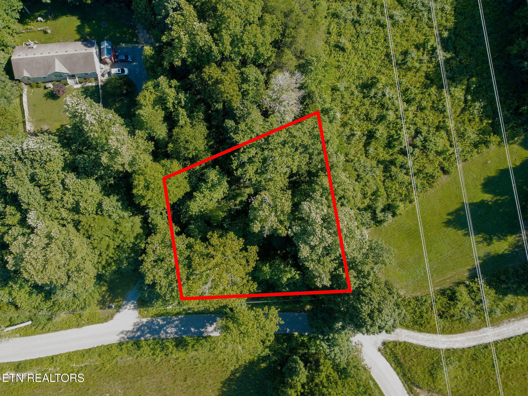 Elizabeth Downs Lane Knoxville TN 37931