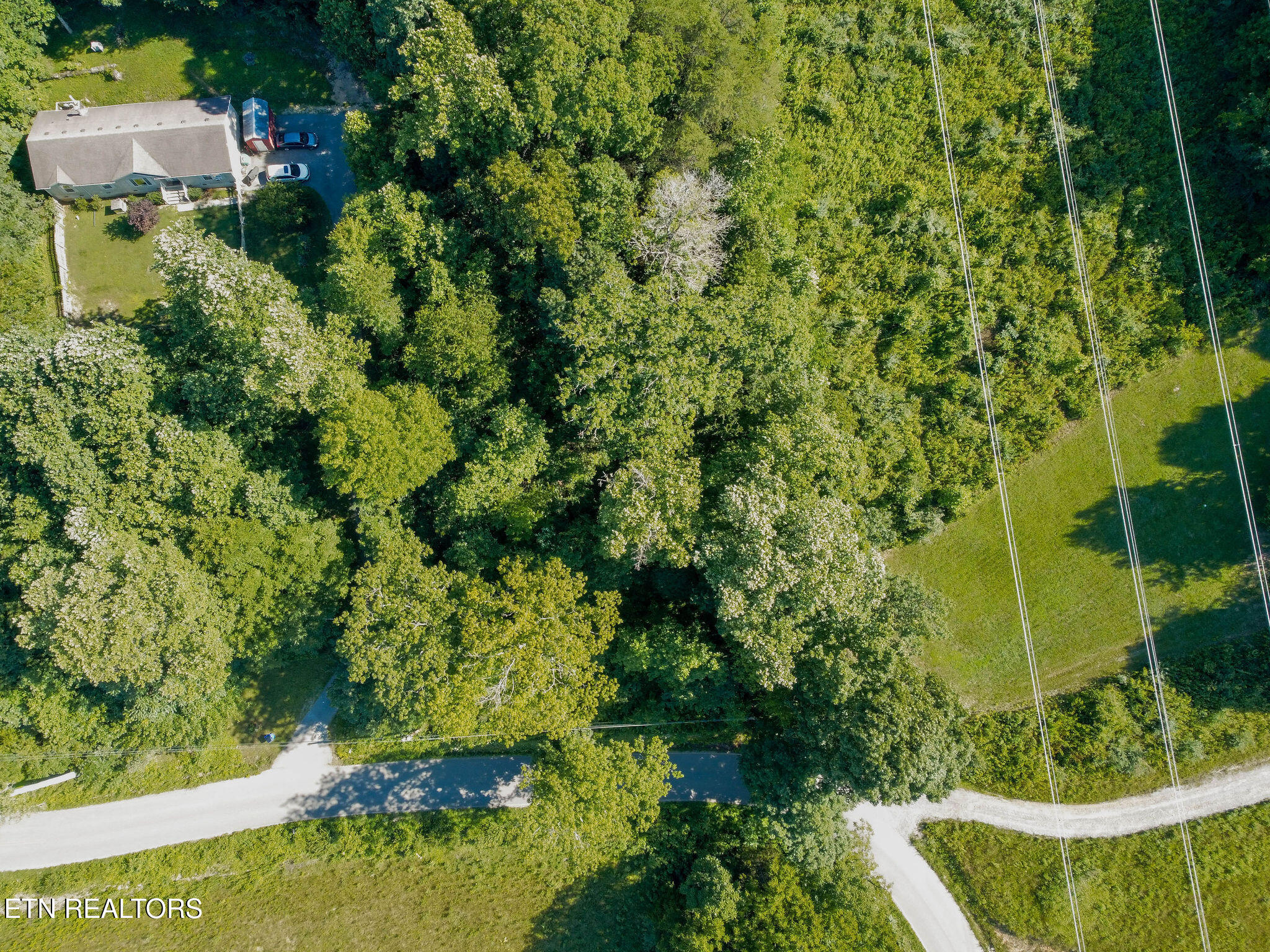 Elizabeth Downs Lane Knoxville TN 37931