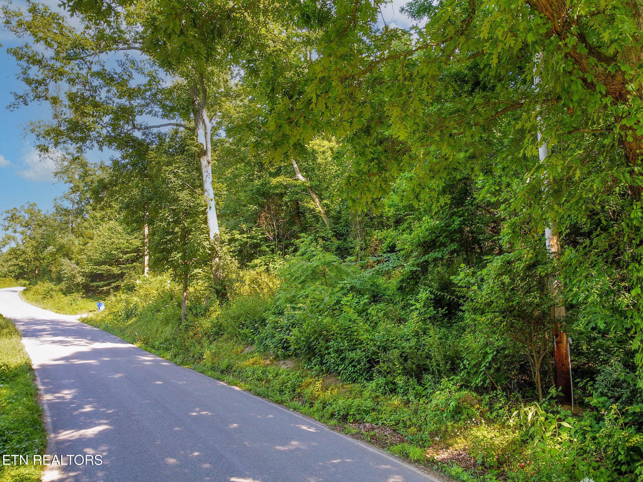 Elizabeth Downs Lane Knoxville TN 37931