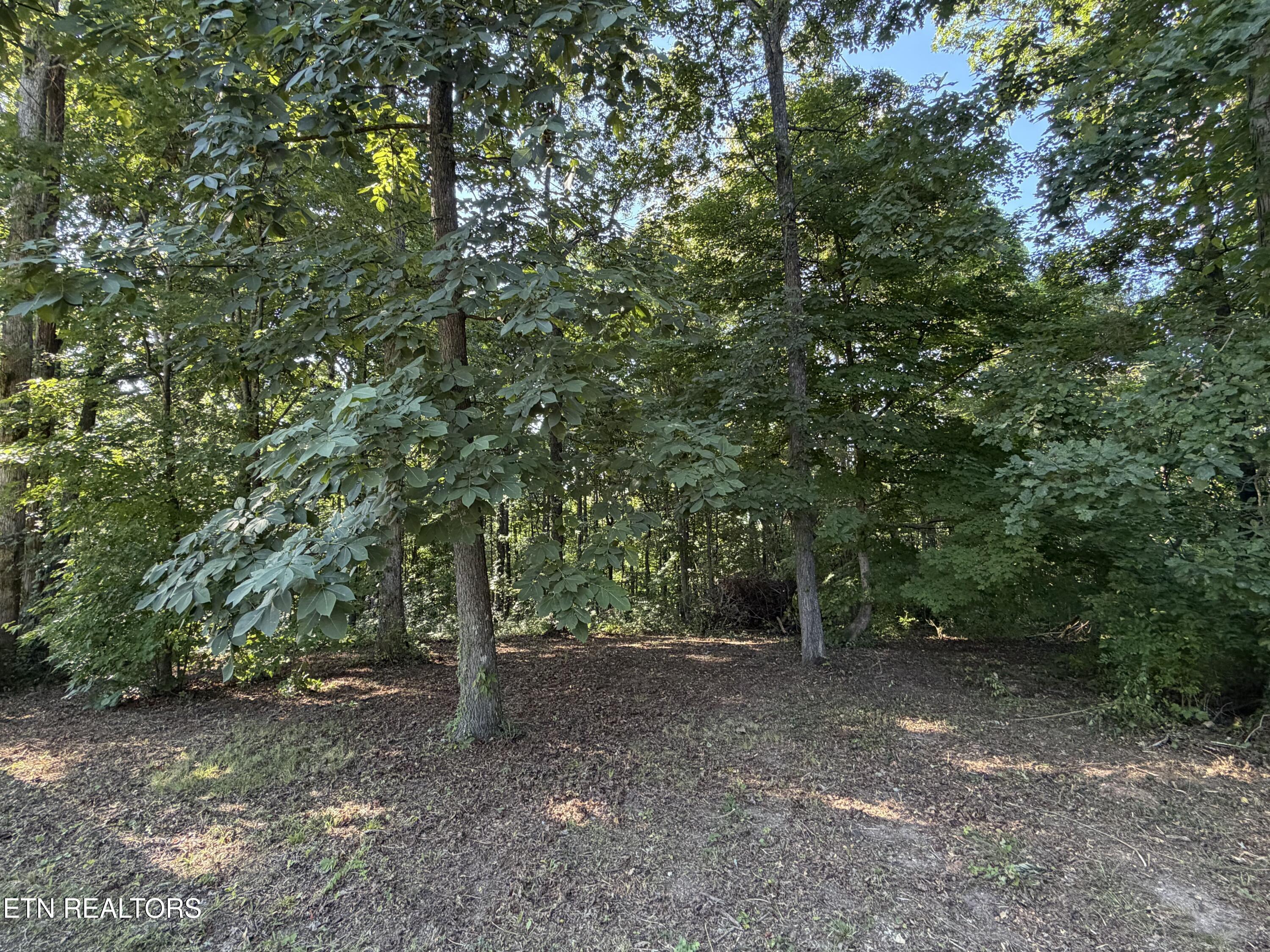 9976 Winding Hill Lane Knoxville TN 37931