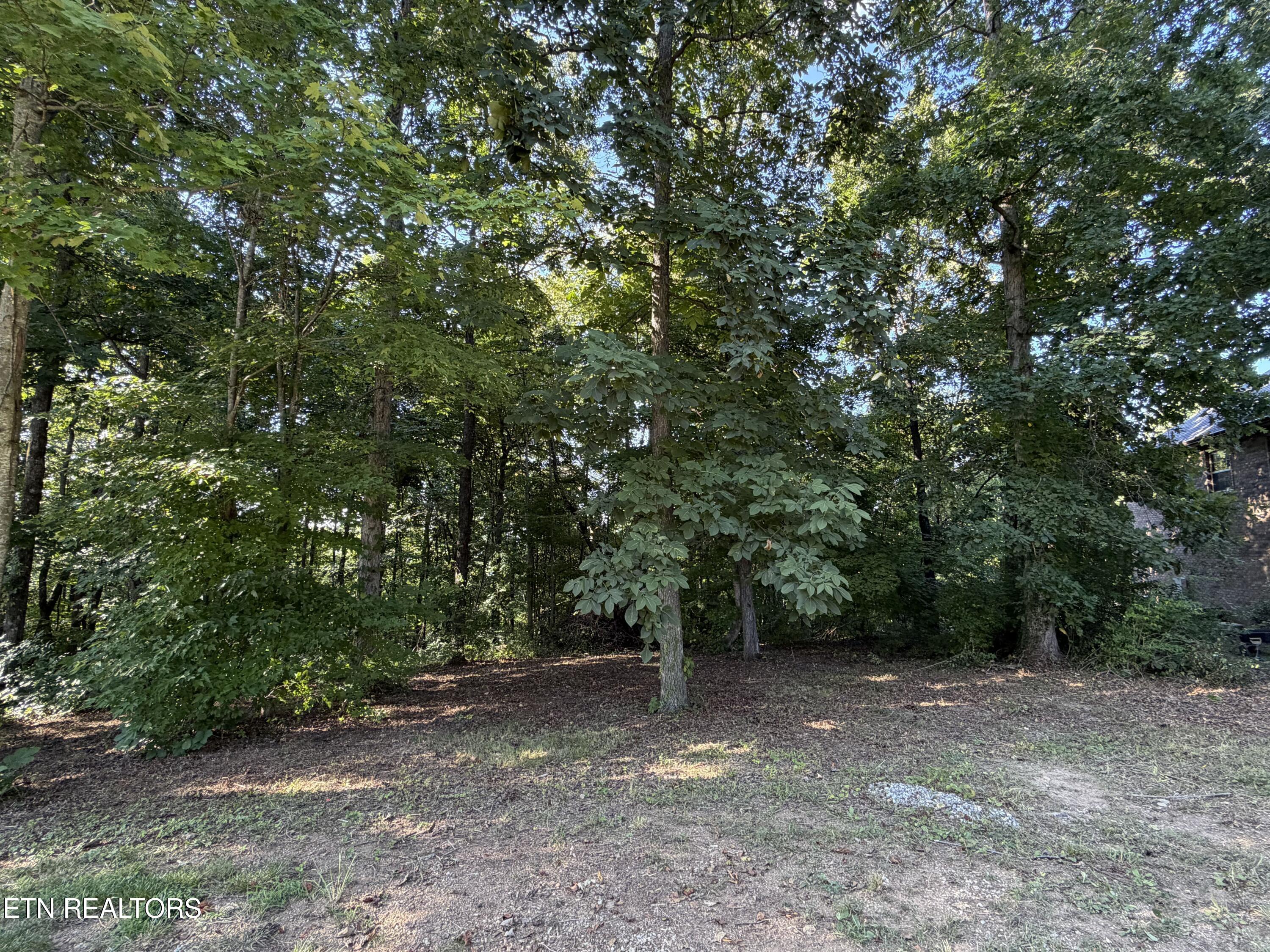 9976 Winding Hill Lane Knoxville TN 37931