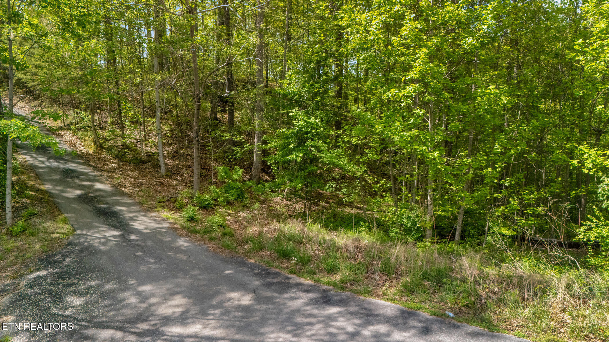 Lot 66e Redtail Road Sevierville TN 37862