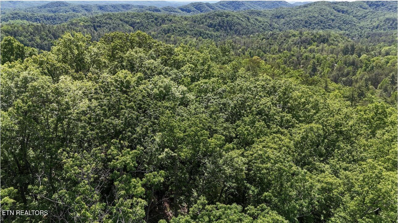 Rich Mountain Way Sevierville TN 37876