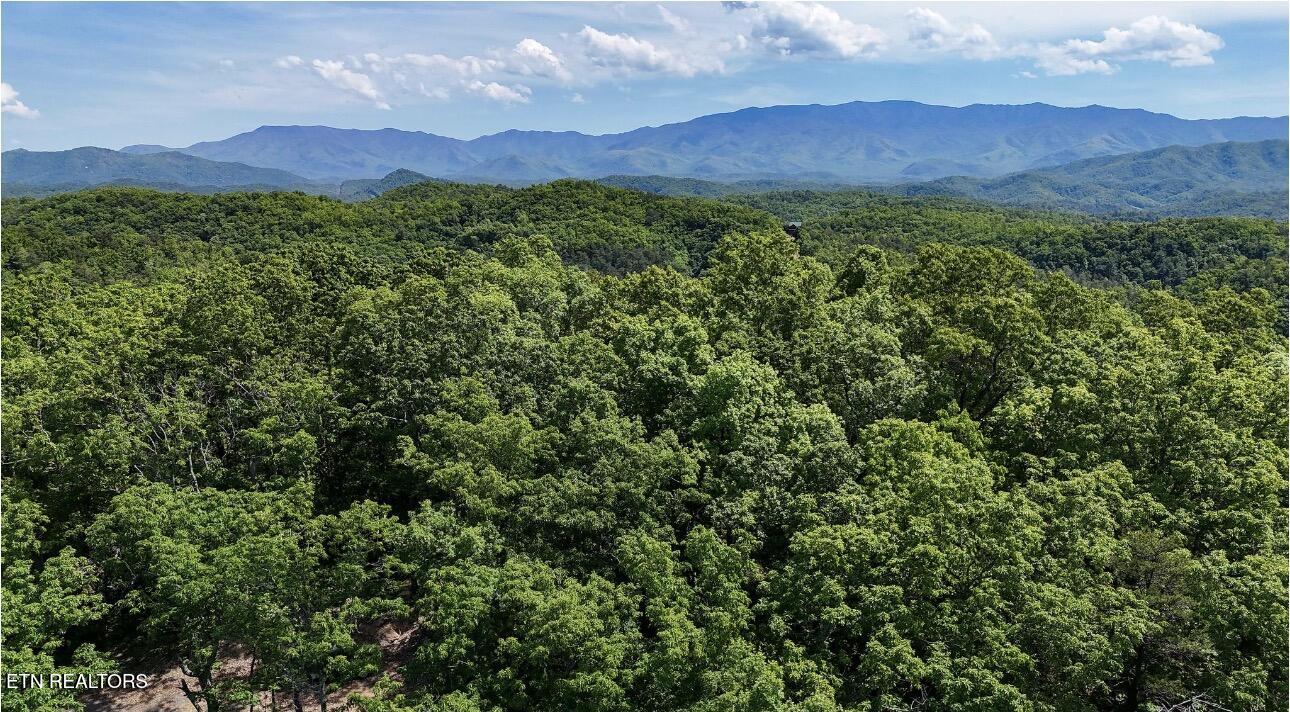 Rich Mountain Way Sevierville TN 37876