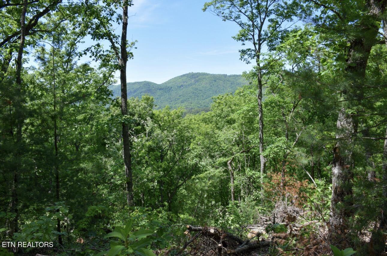 Rich Mountain Way Sevierville TN 37876