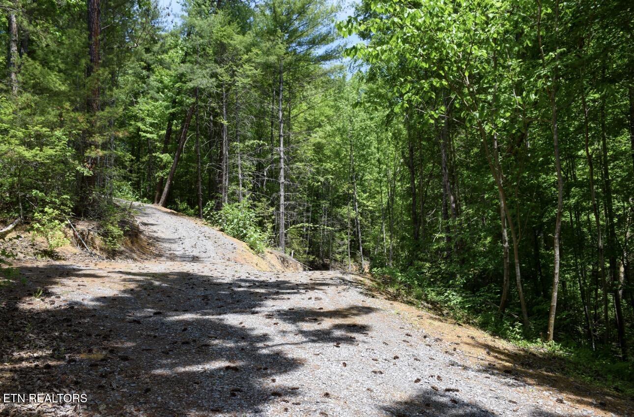 Rich Mountain Way Sevierville TN 37876