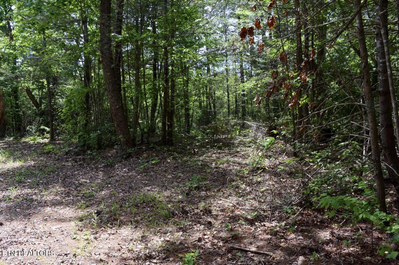 Rich Mountain Way Sevierville TN 37876