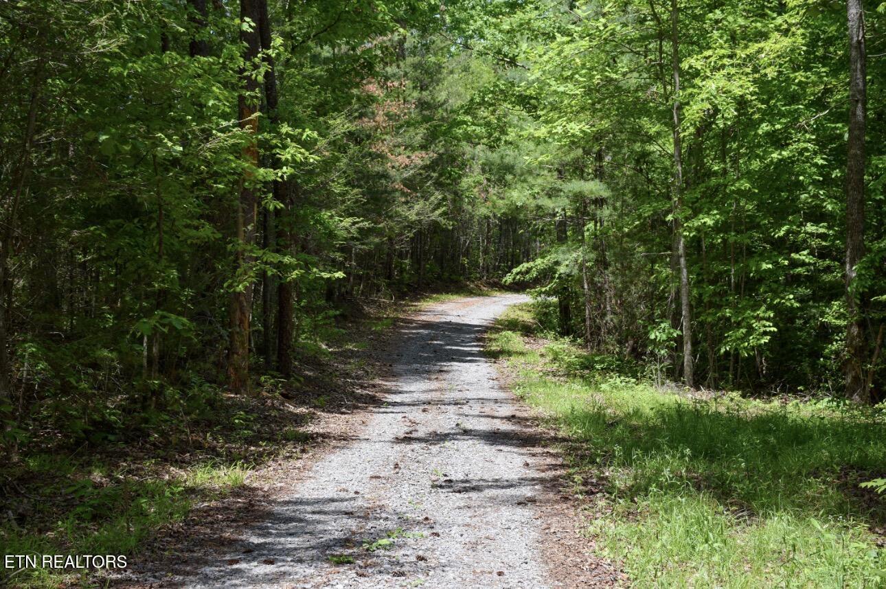Rich Mountain Way Sevierville TN 37876