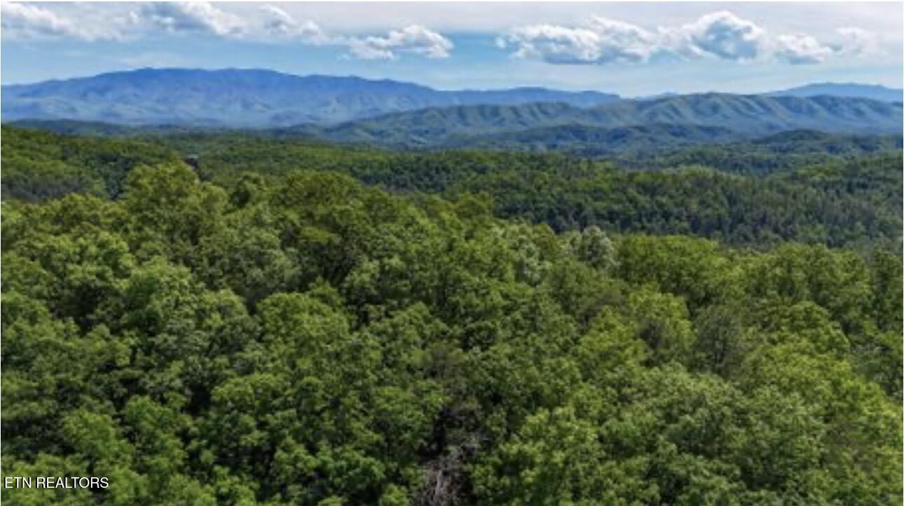 Rich Mountain Way Sevierville TN 37876