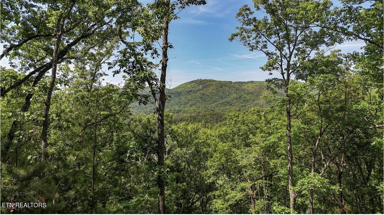 Rich Mountain Way Sevierville TN 37876