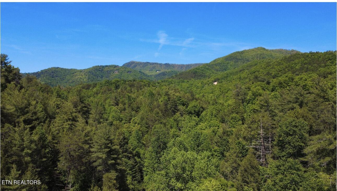Rich Mountain Way Sevierville TN 37876