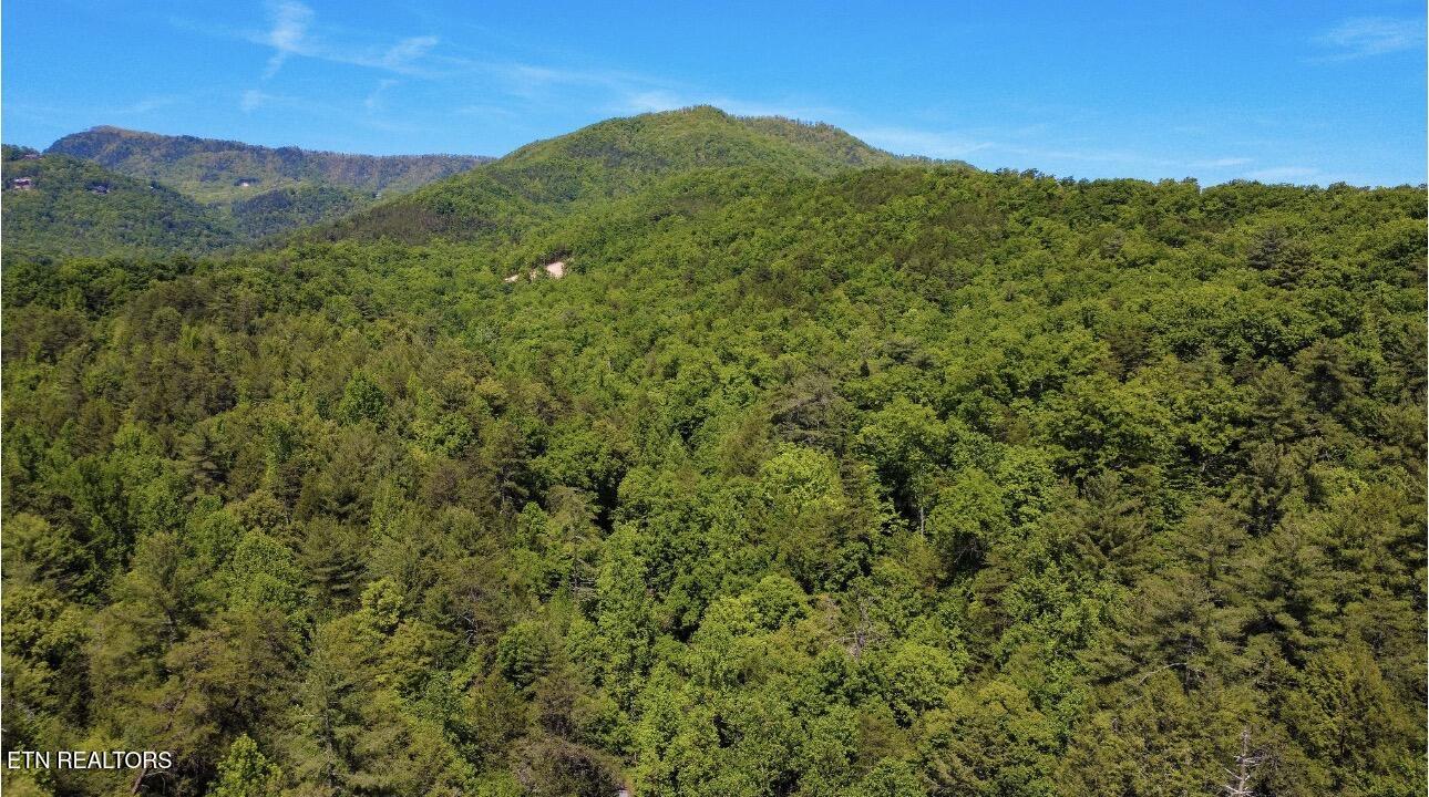 Rich Mountain Way Sevierville TN 37876
