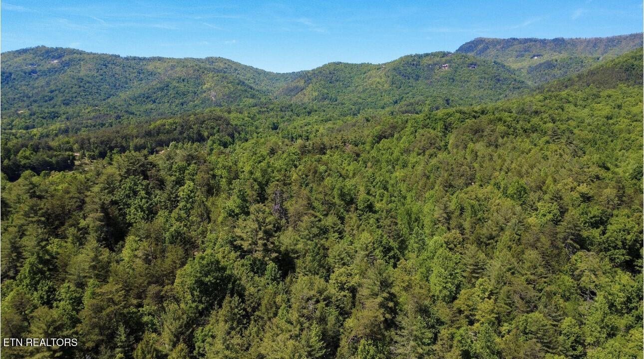Rich Mountain Way Sevierville TN 37876