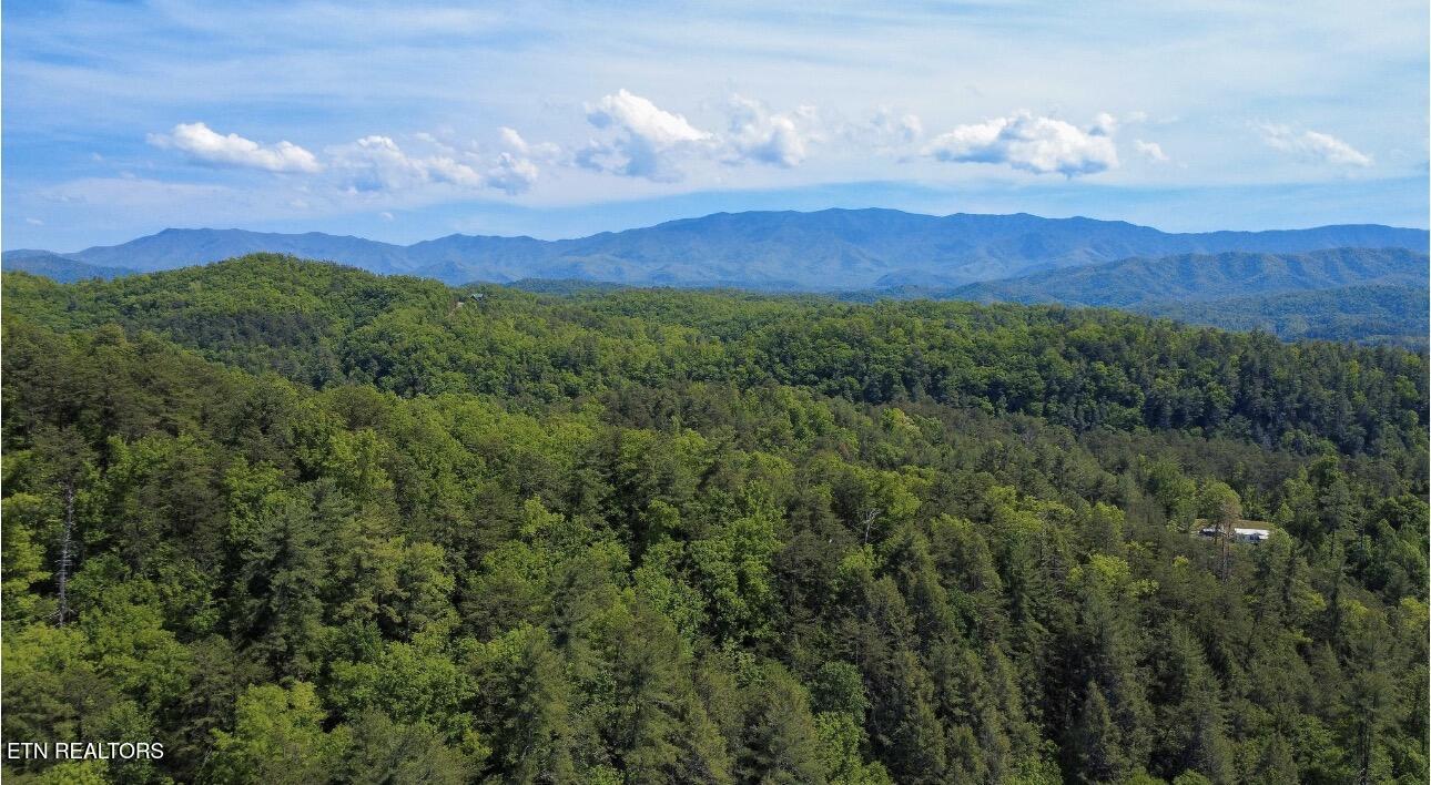 Rich Mountain Way Sevierville TN 37876