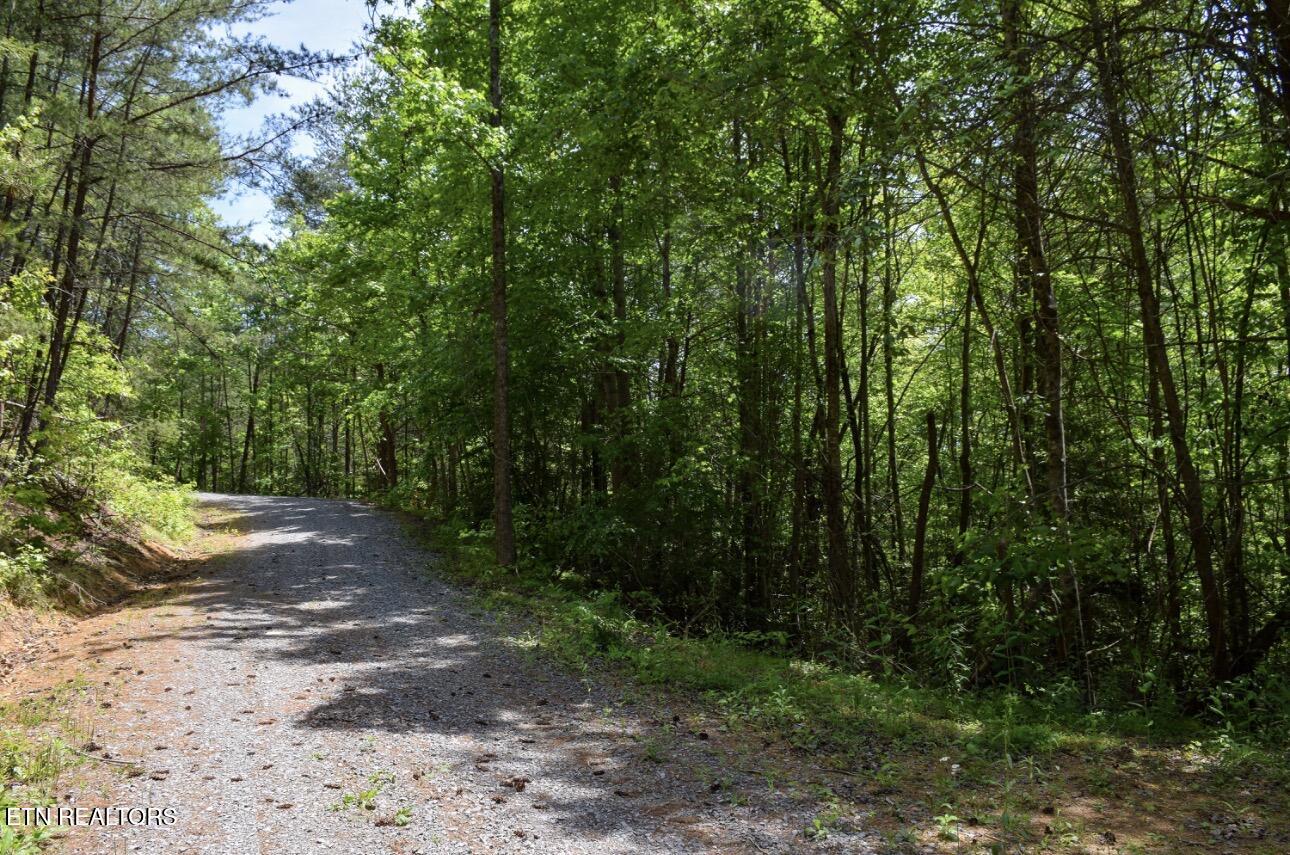 Rich Mountain Way Sevierville TN 37876