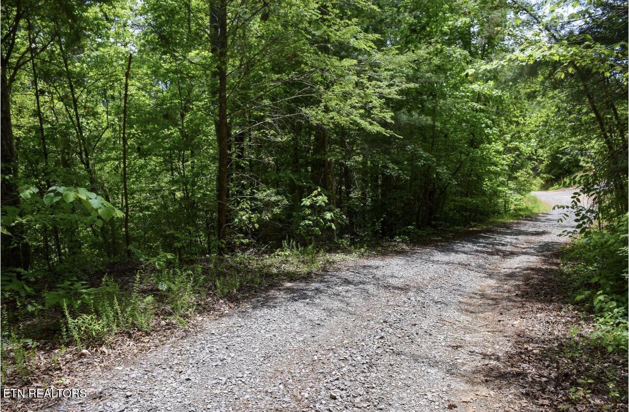 Rich Mountain Way Sevierville TN 37876
