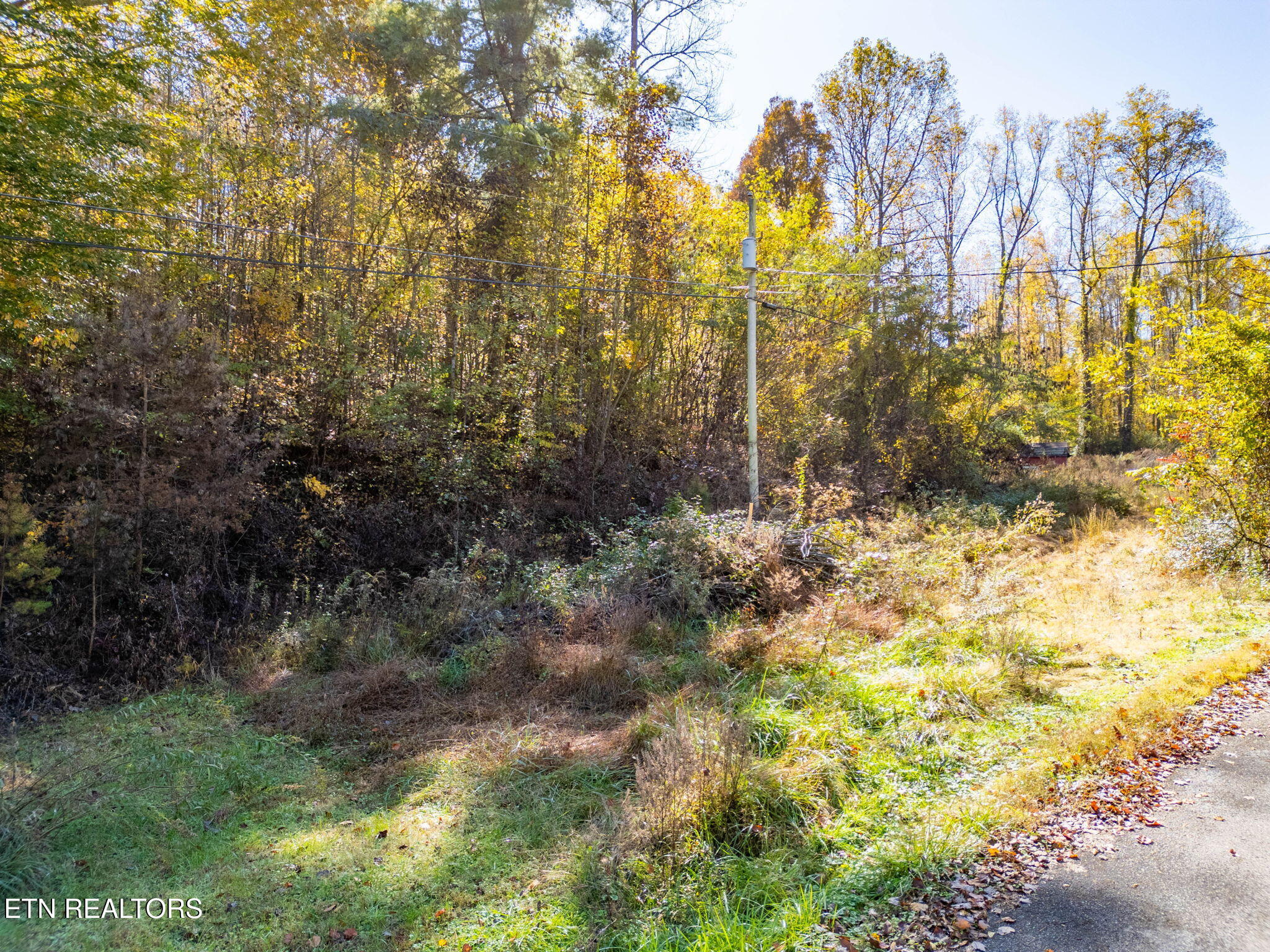 1395 Mountain View Road Rockwood TN 37854