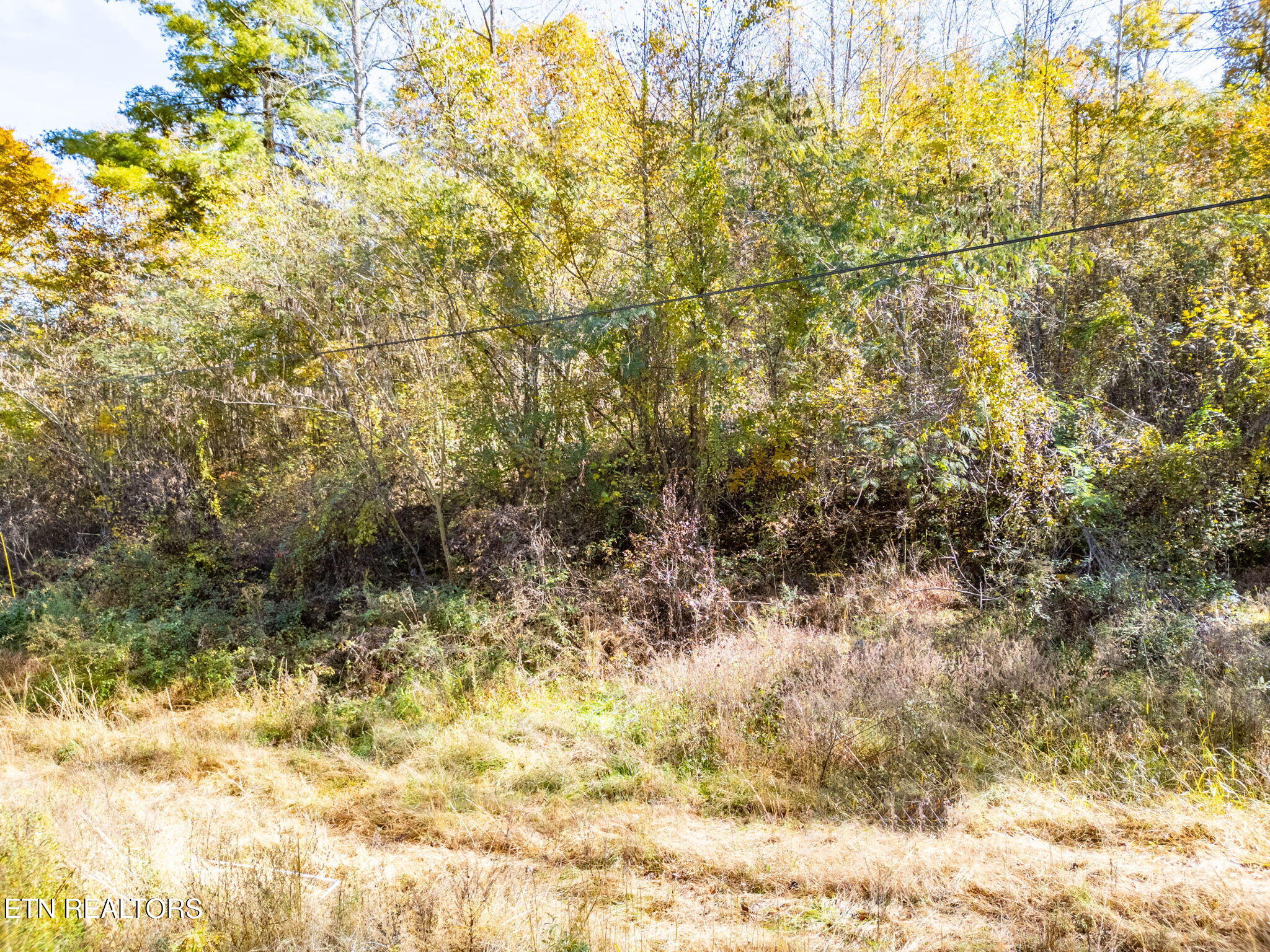 1395 Mountain View Road Rockwood TN 37854