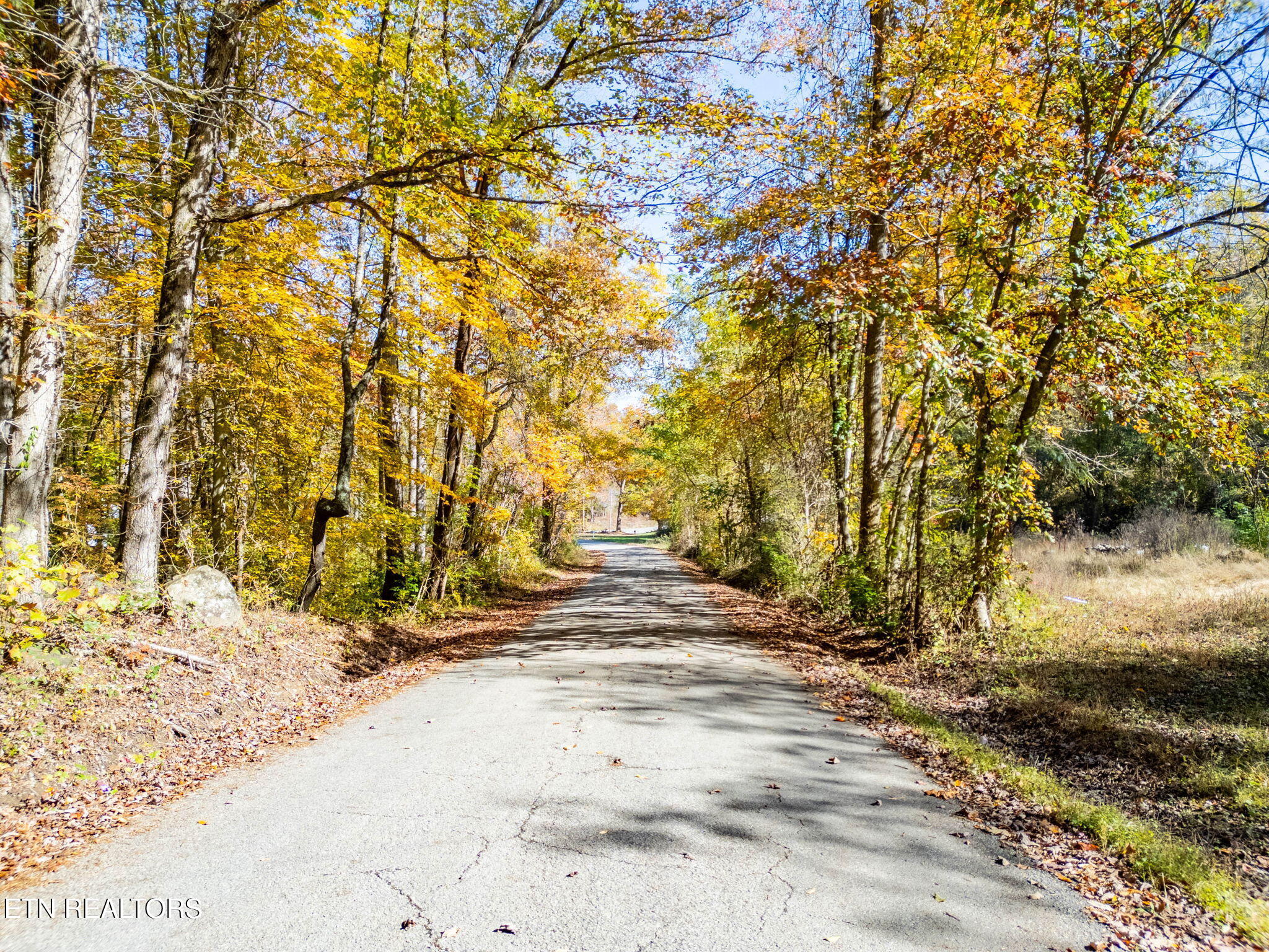 1395 Mountain View Road Rockwood TN 37854