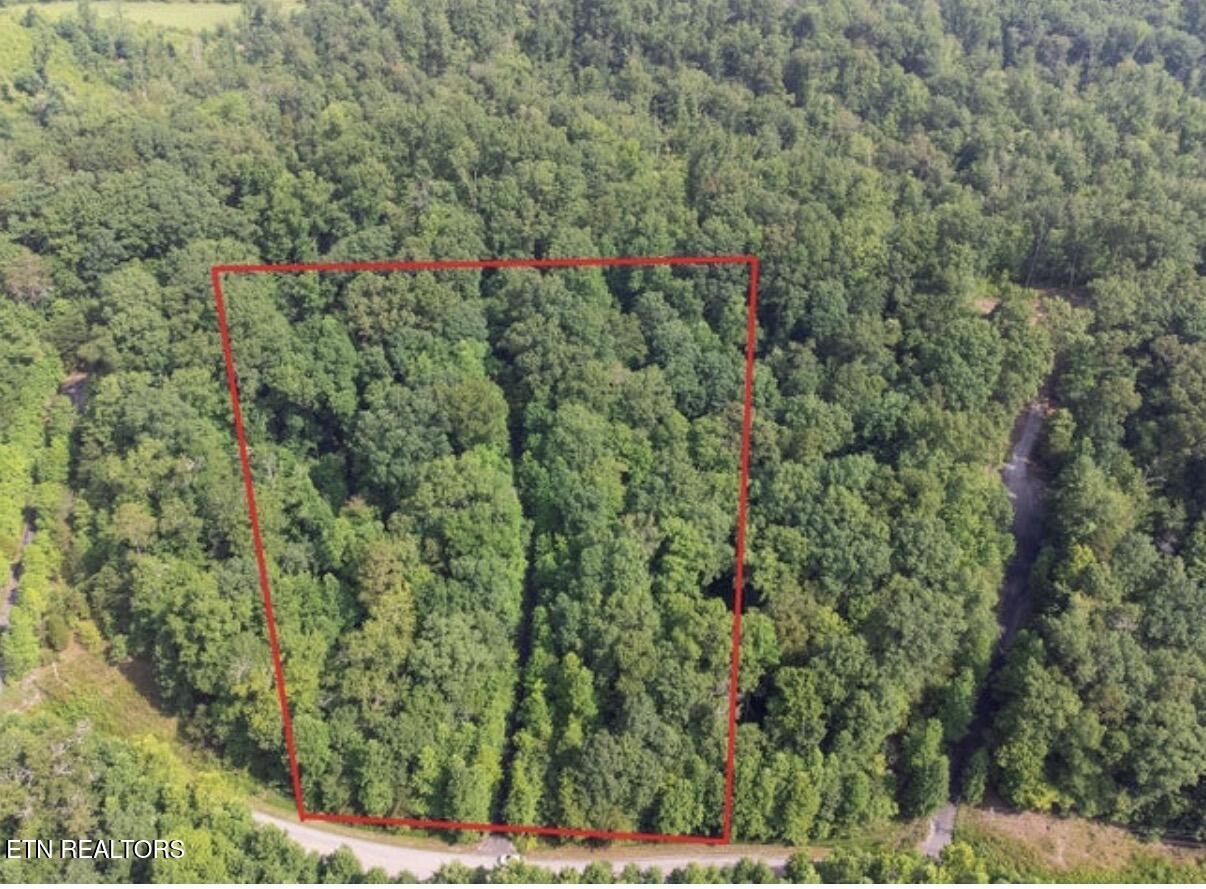 228 Crystal Springs Road Rockwood TN 37854