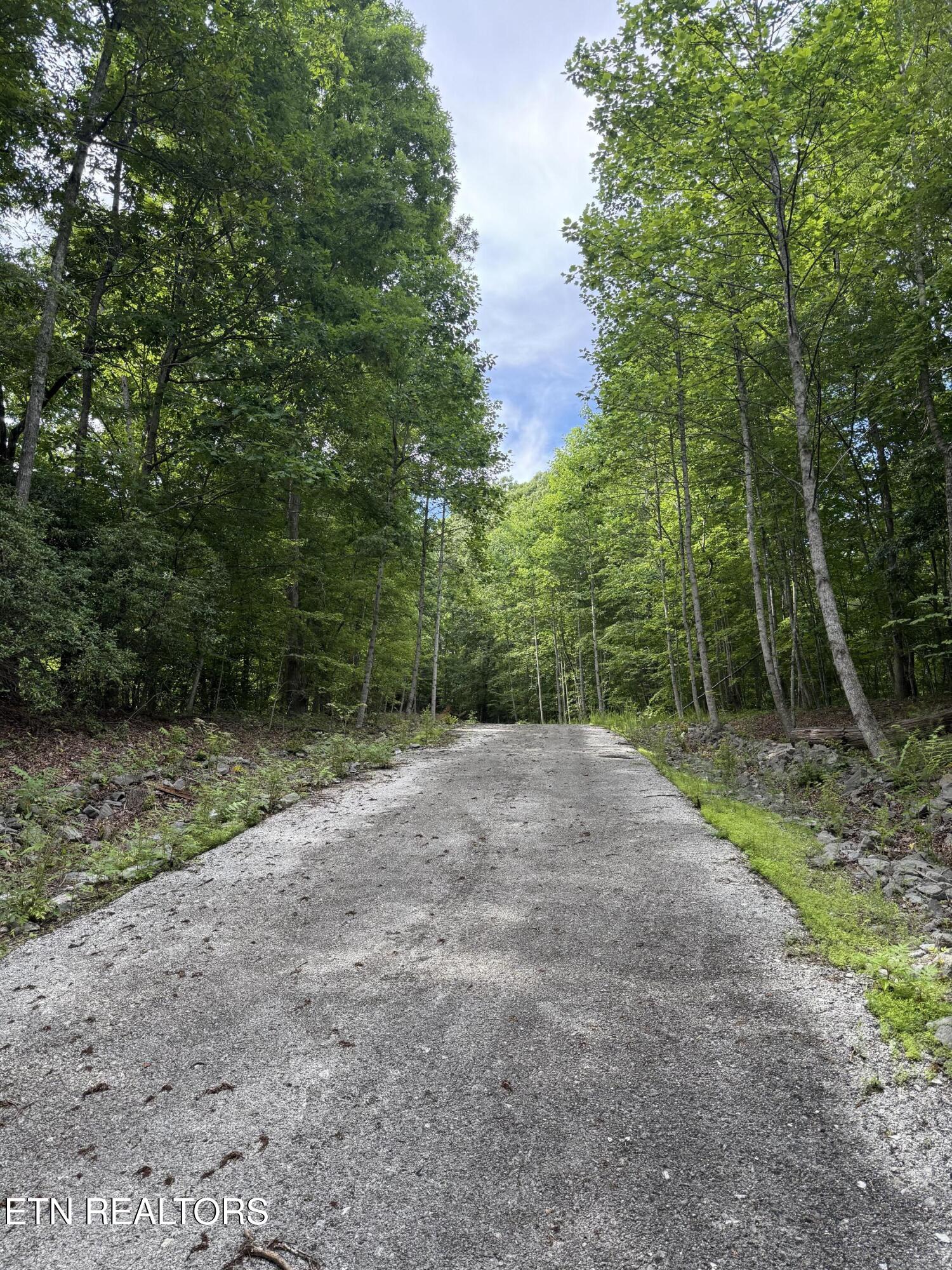 228 Crystal Springs Road Rockwood TN 37854