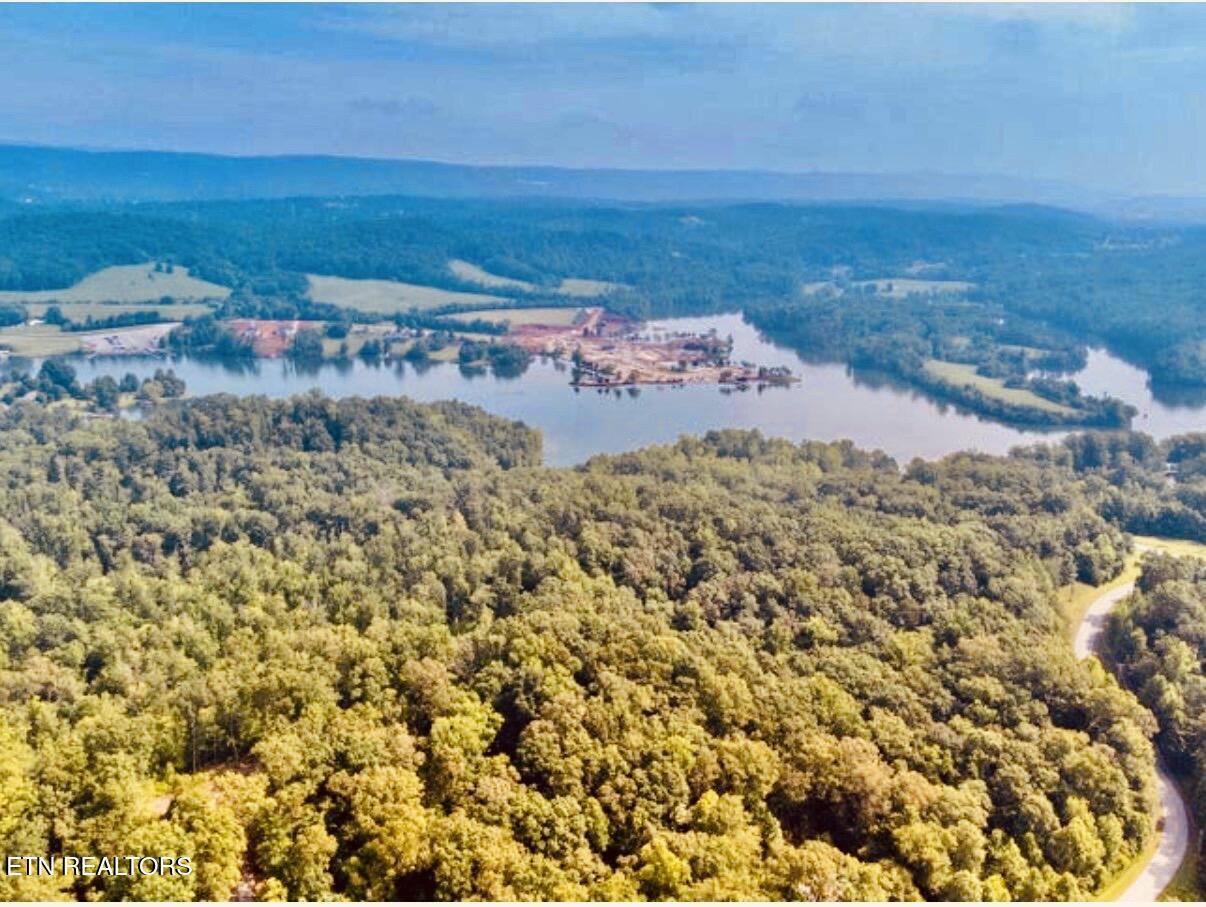 228 Crystal Springs Road Rockwood TN 37854