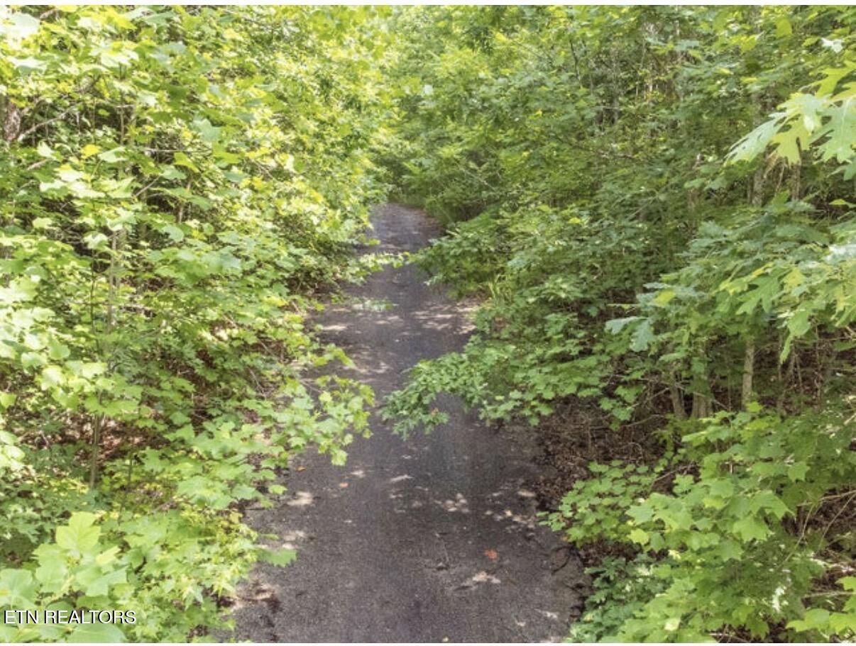 228 Crystal Springs Road Rockwood TN 37854