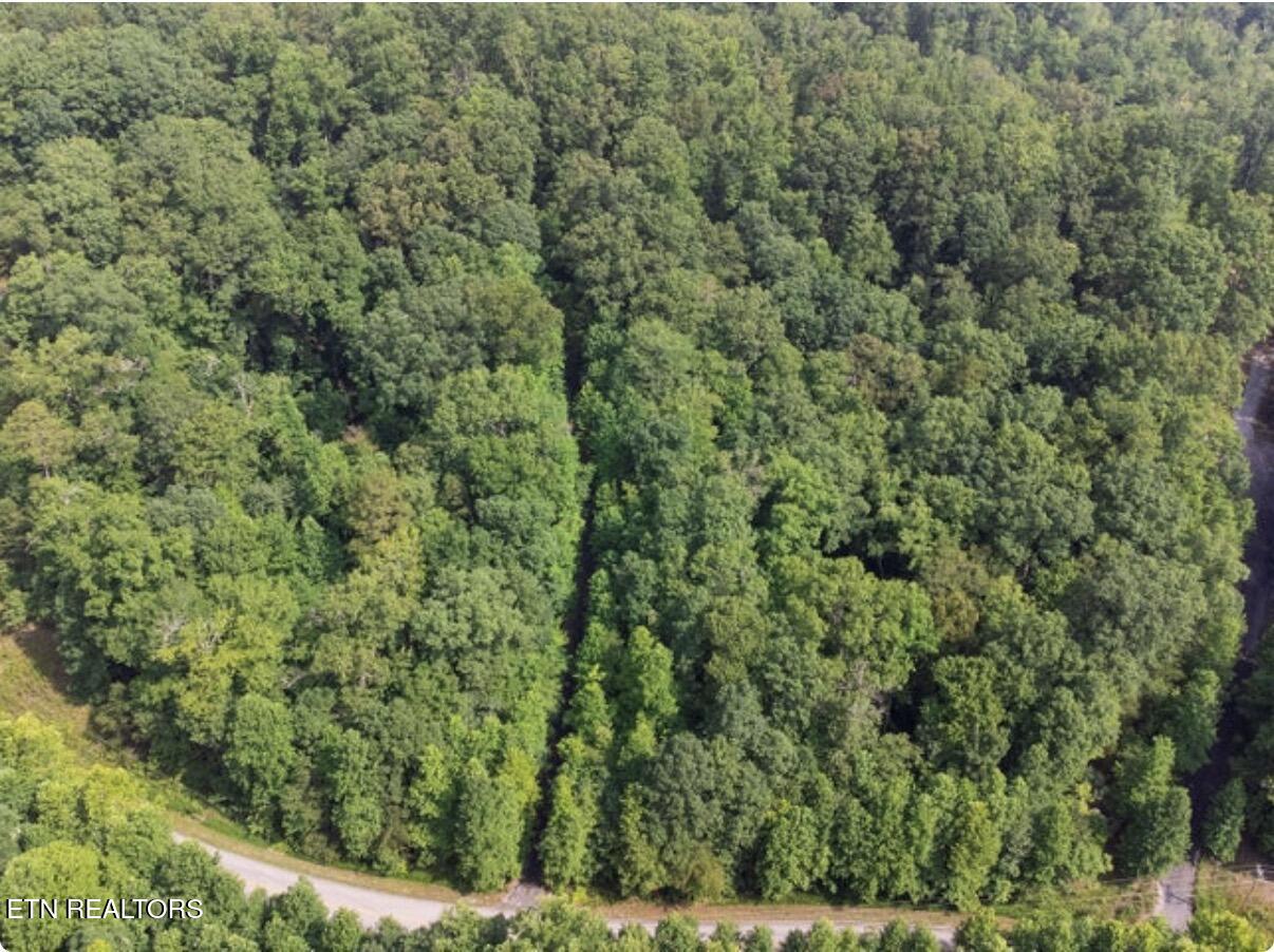 228 Crystal Springs Road Rockwood TN 37854