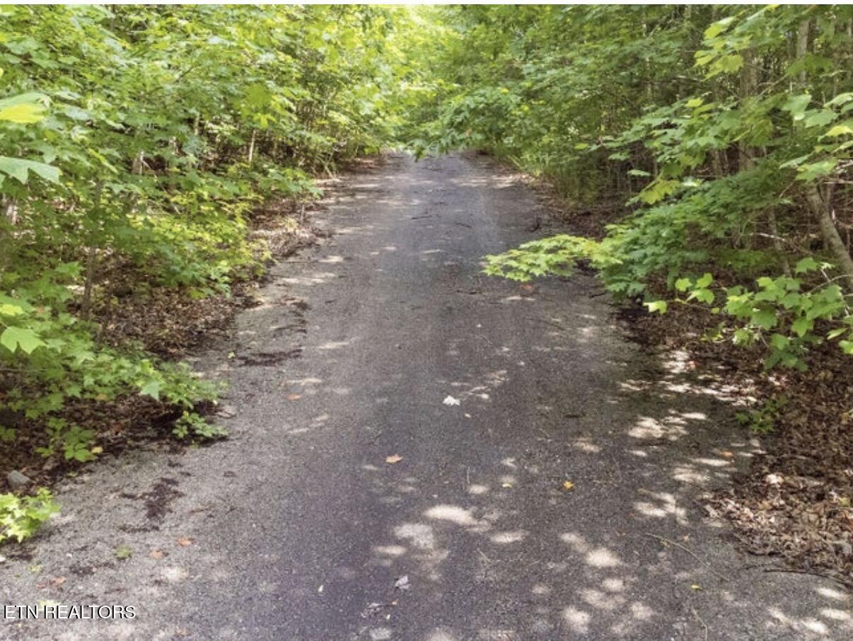 228 Crystal Springs Road Rockwood TN 37854