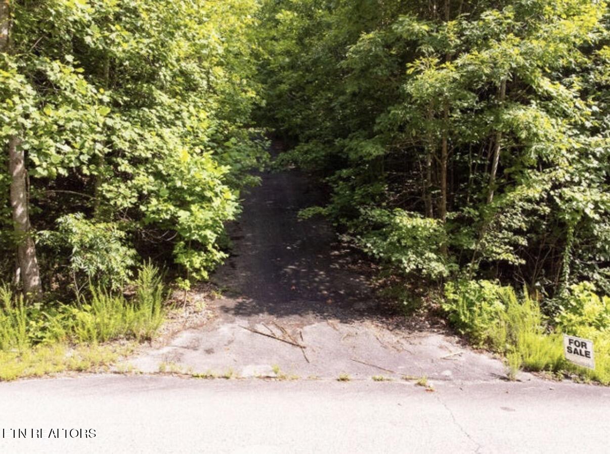 228 Crystal Springs Road Rockwood TN 37854
