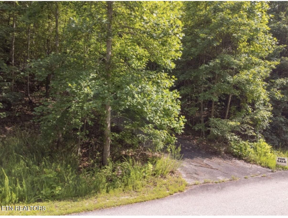 228 Crystal Springs Road Rockwood TN 37854