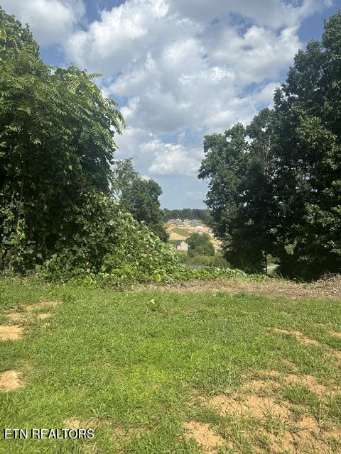 480 Laurel Ridge Lane Knoxville TN 37922