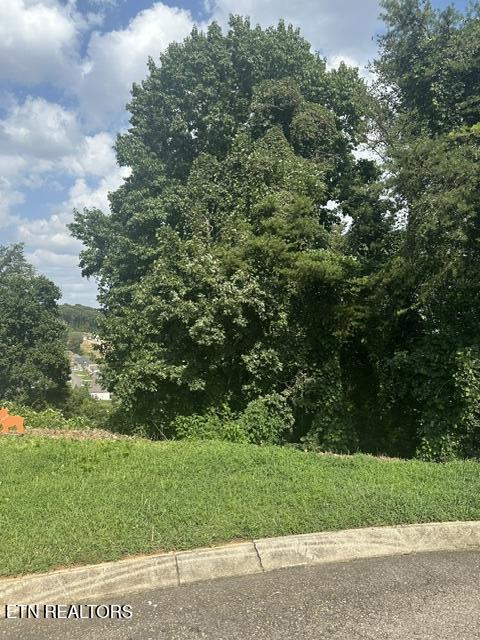 480 Laurel Ridge Lane Knoxville TN 37922