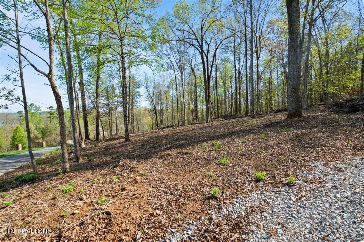 Lot 13 Demory Road Lafollette TN 37766