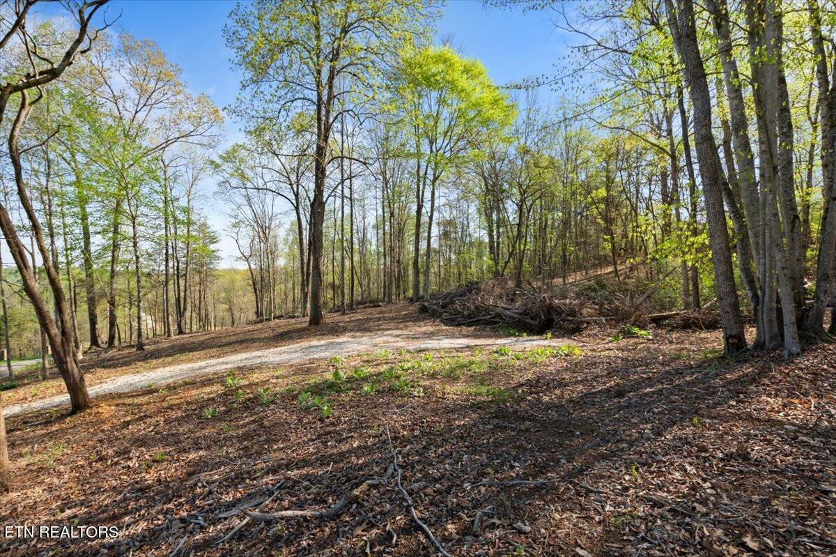 Lot 13 Demory Road Lafollette TN 37766