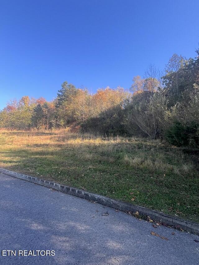 Anchor Lane Andersonville TN 37705