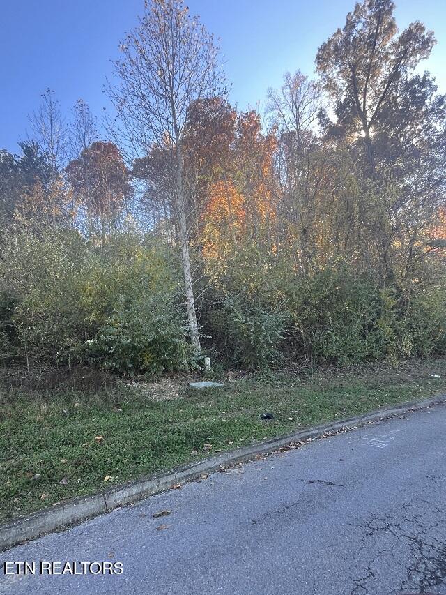 Anchor Lane Andersonville TN 37705