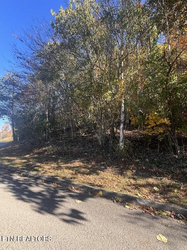 Anchor Lane Andersonville TN 37705