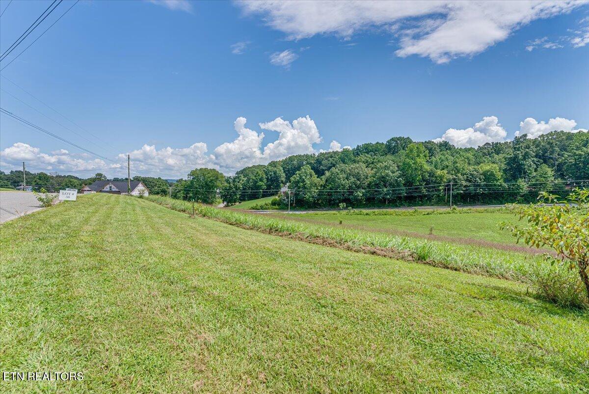 211 Washita Lane Rutledge TN 37861