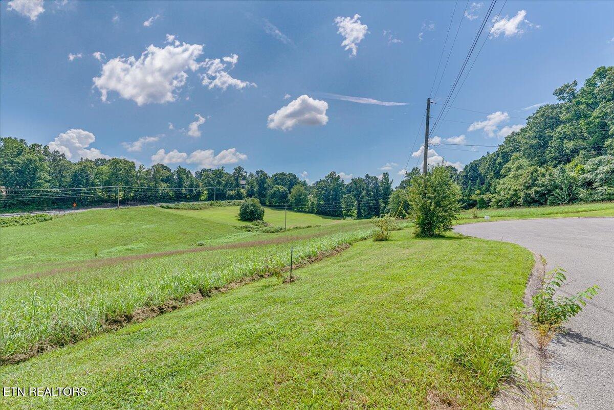 211 Washita Lane Rutledge TN 37861
