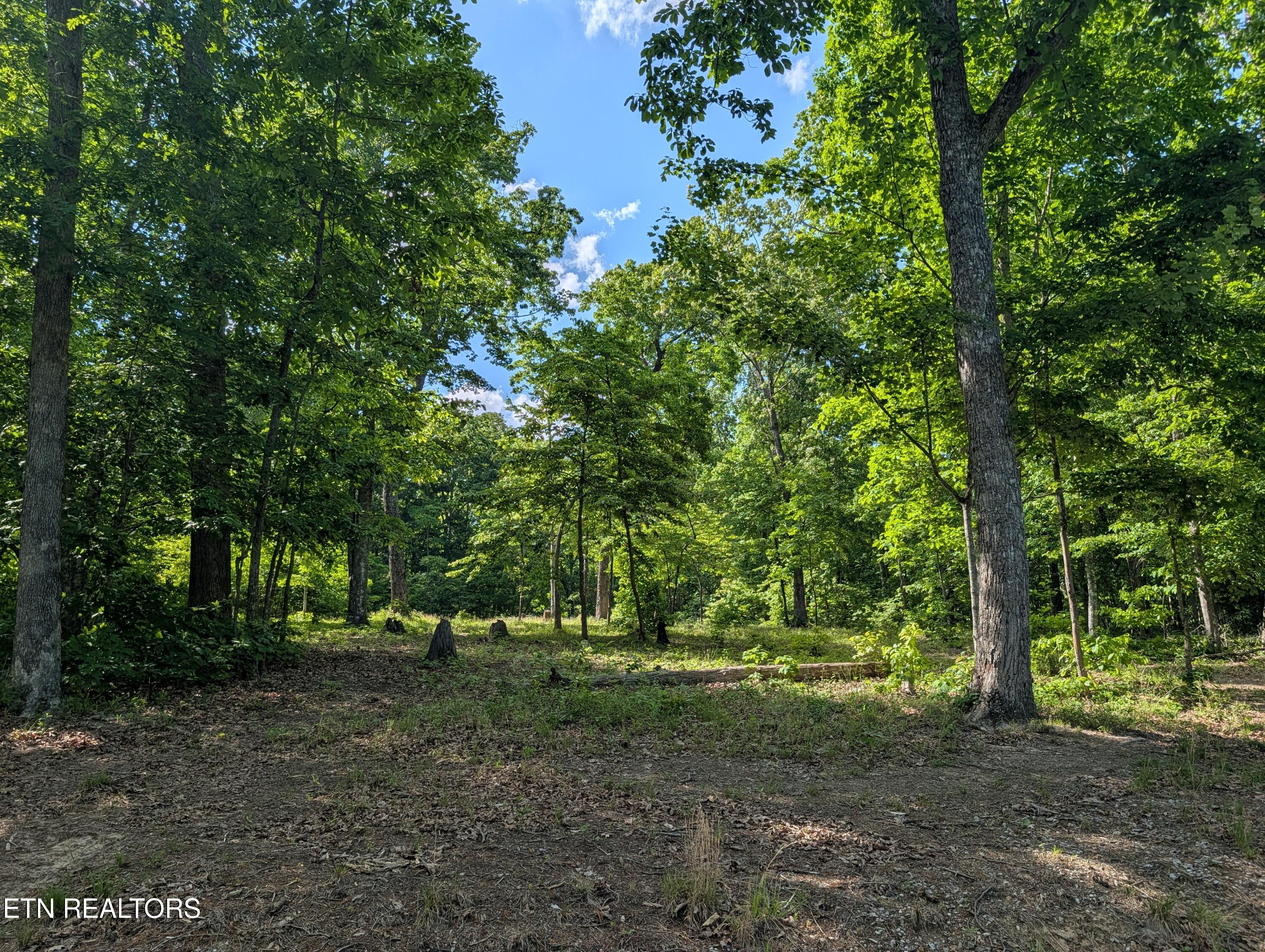 Lot 94/95 Red Oak Lane Spring City TN 37381