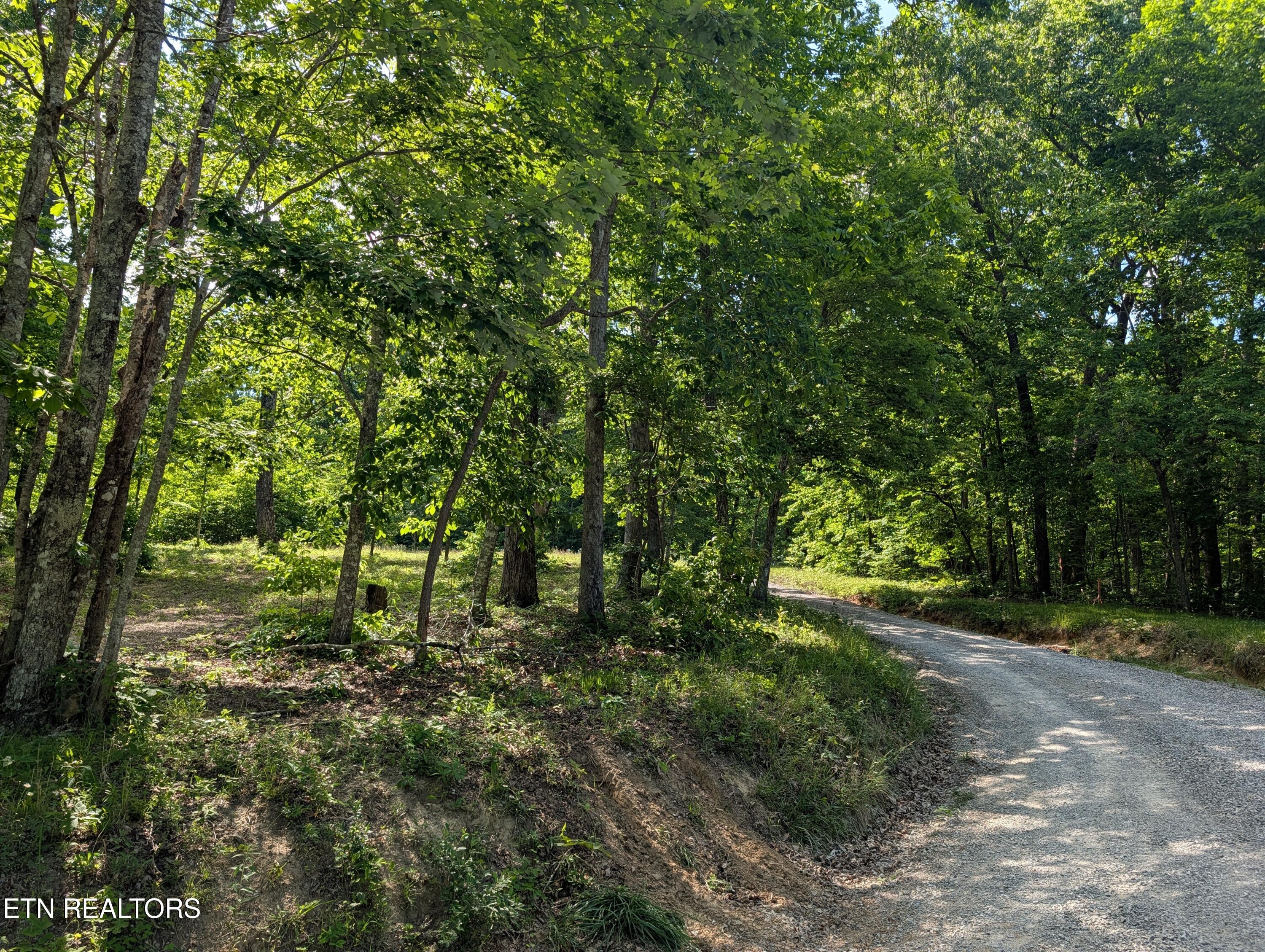 Lot 94/95 Red Oak Lane Spring City TN 37381