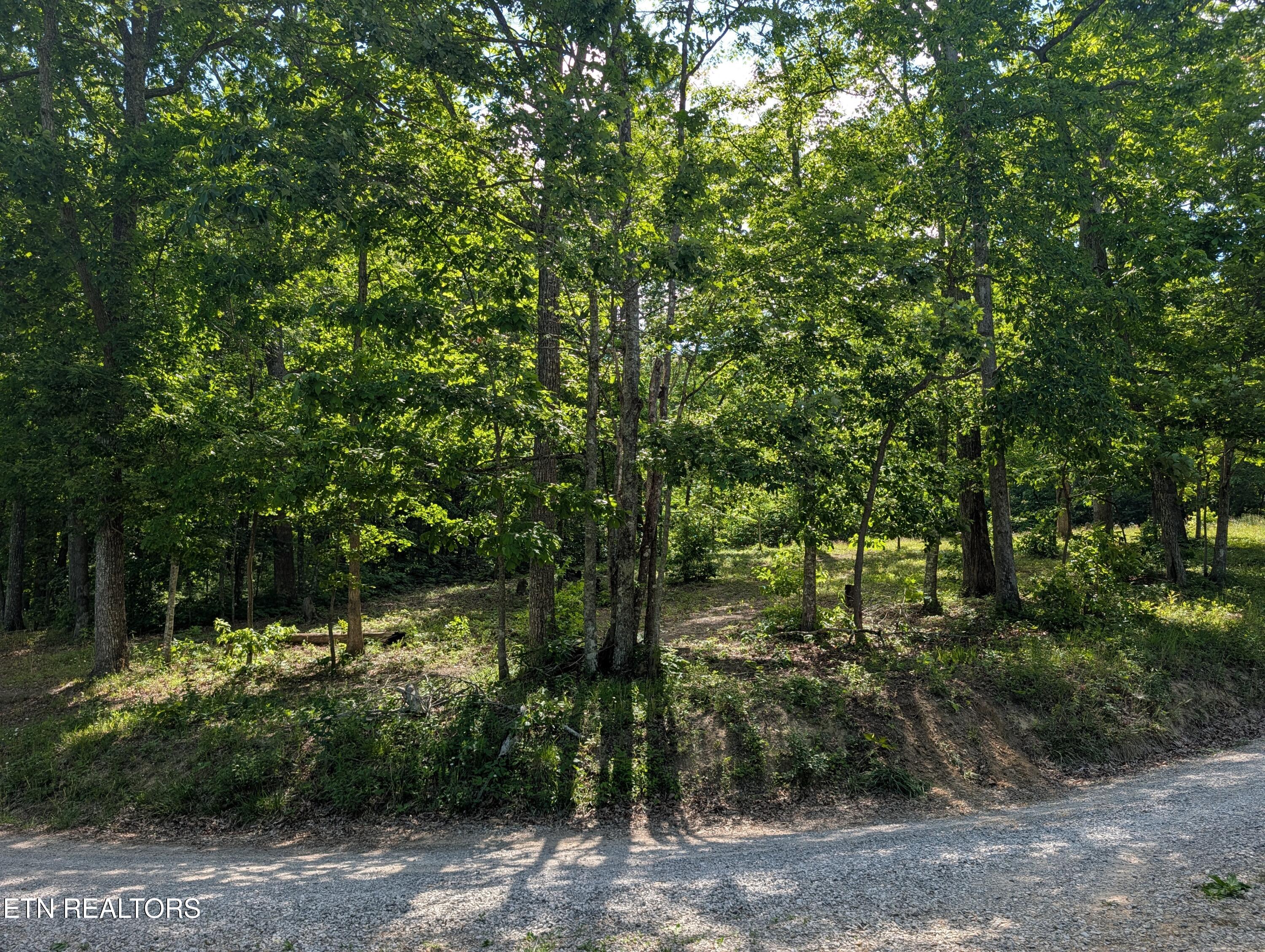 Lot 94/95 Red Oak Lane Spring City TN 37381