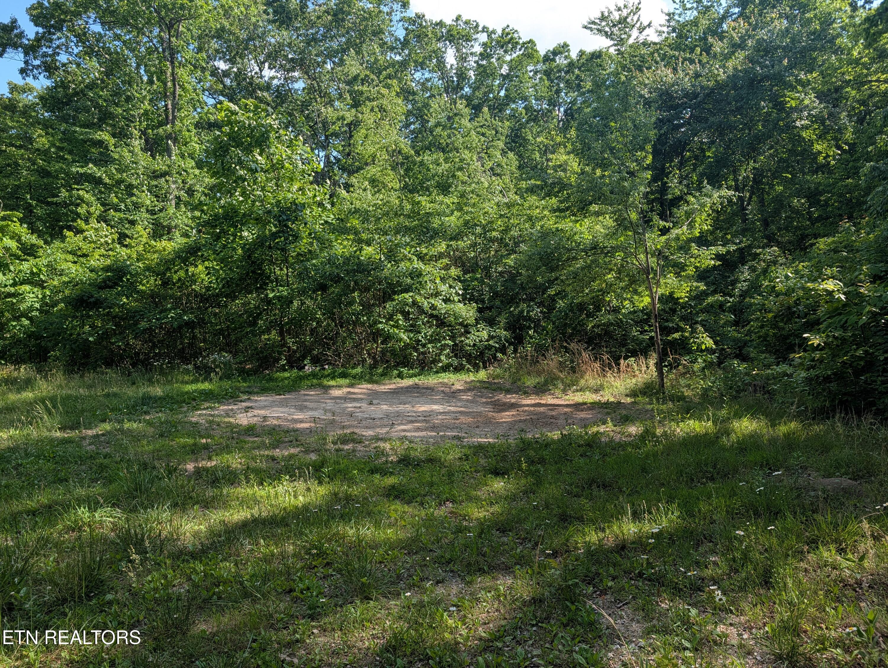 Lot 94/95 Red Oak Lane Spring City TN 37381