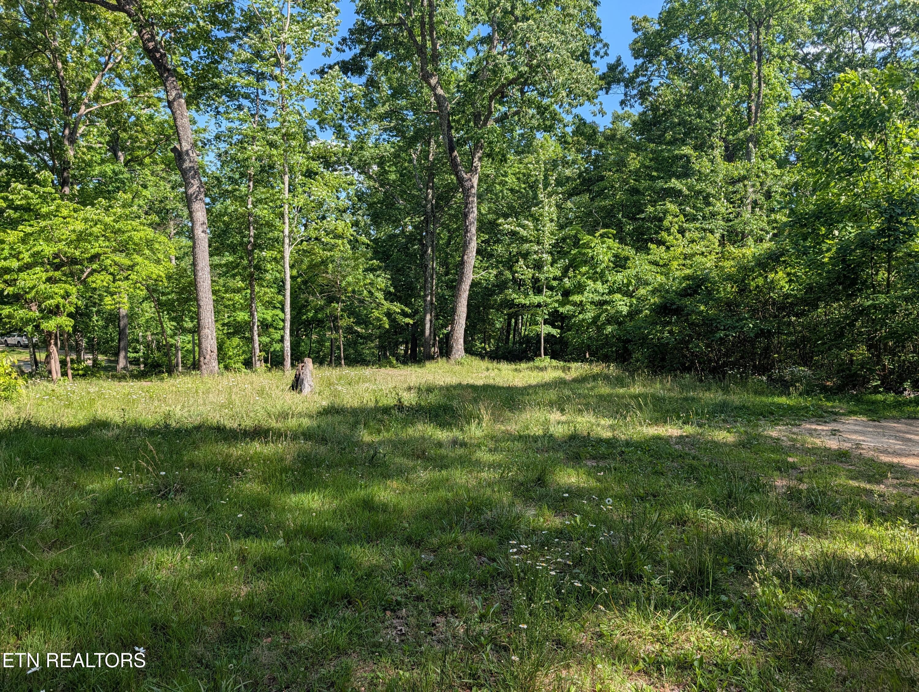 Lot 94/95 Red Oak Lane Spring City TN 37381