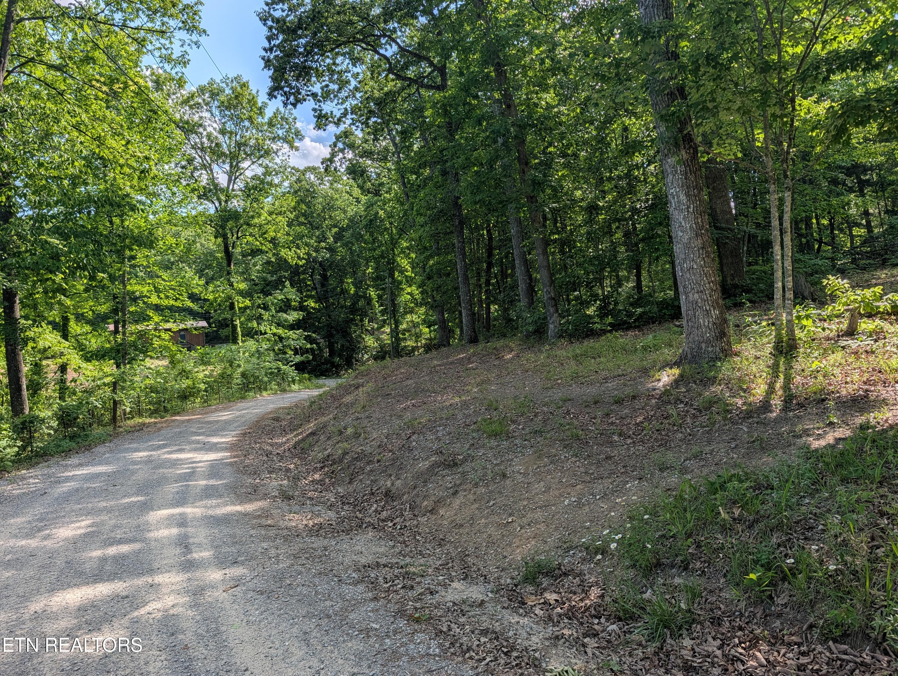 Lot 94/95 Red Oak Lane Spring City TN 37381
