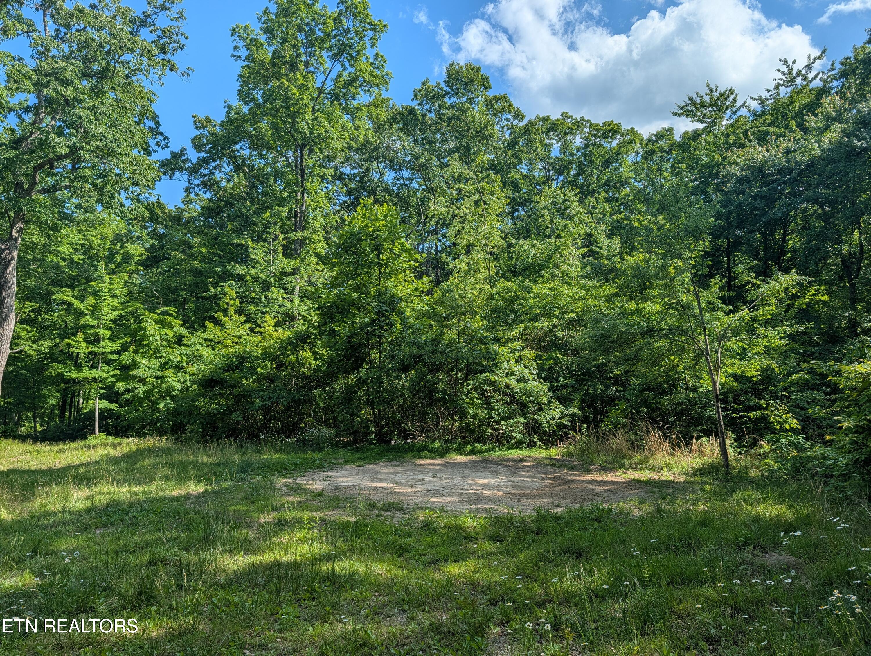 Lot 94/95 Red Oak Lane Spring City TN 37381