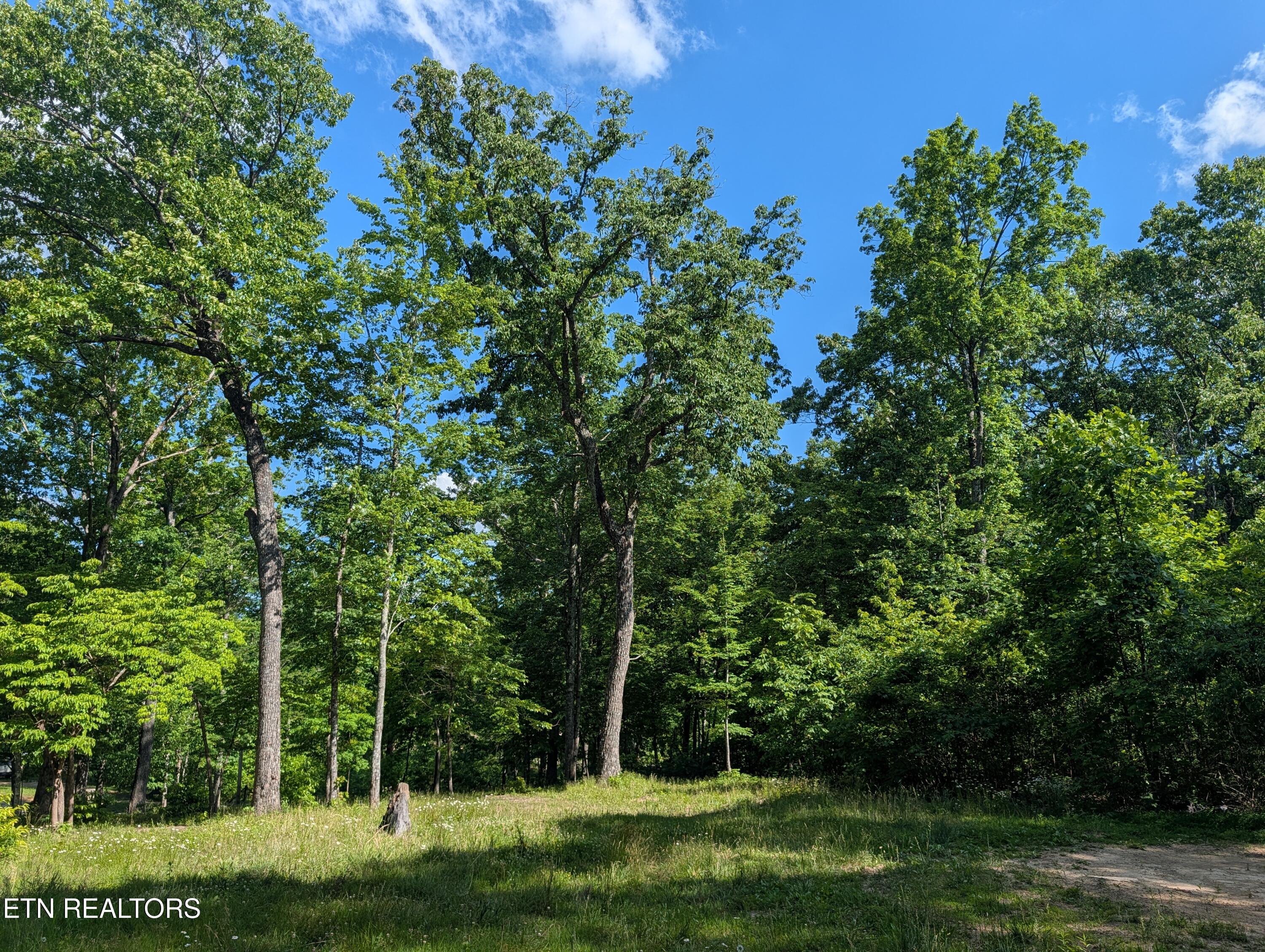 Lot 94/95 Red Oak Lane Spring City TN 37381