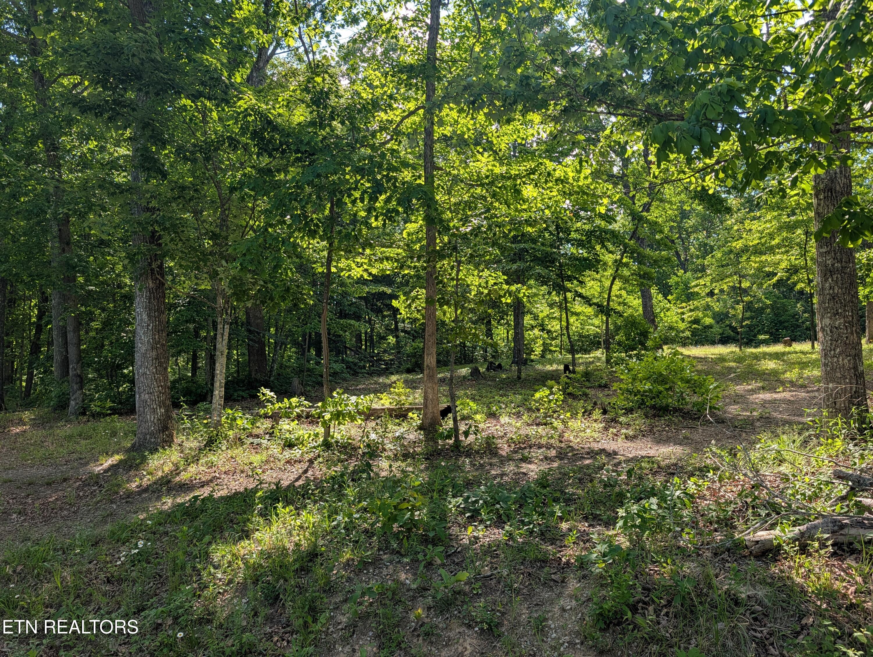Lot 94/95 Red Oak Lane Spring City TN 37381